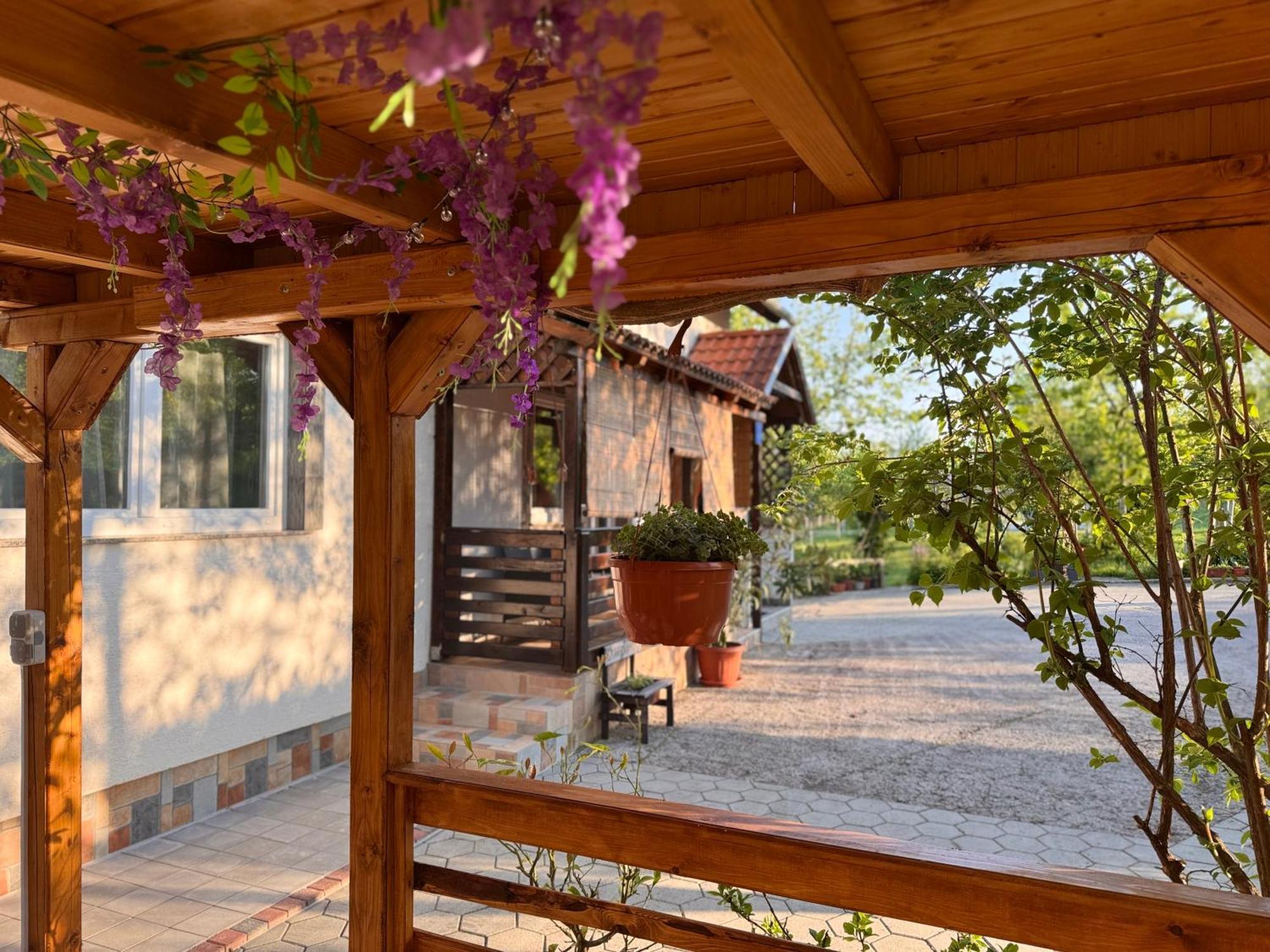 Apartment Liso Seliste Dreznicko Exterior photo